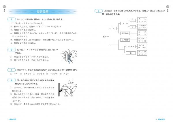 イメージを拡大する