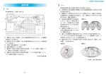 イメージを拡大する